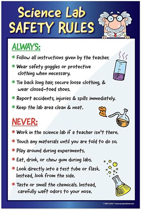 Lab Safety Rules Poster, Science Safety Posters, Science Lab Safety Rules, Lab Safety Poster, Kids Science Lab, School Counselor Posters, Science Lab Safety, Lab Safety Rules, Science Lab Decorations