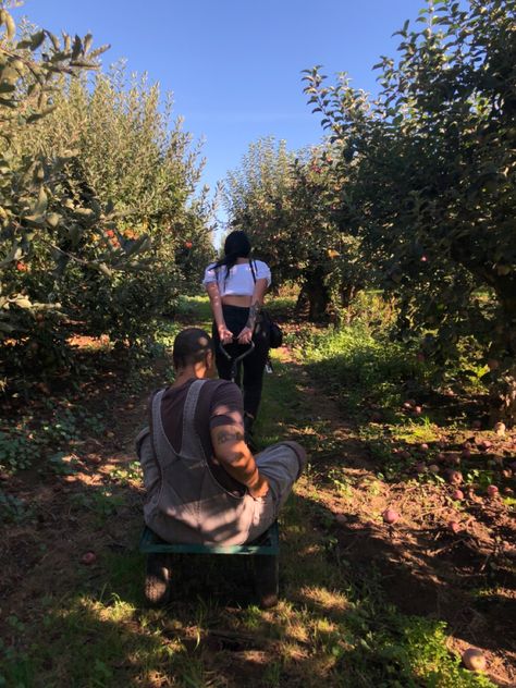 Friend Fall Aesthetic, Couples Fall Aesthetic, Apple Picking With Boyfriend, Autumn Friends Aesthetic, Apple Picking Photoshoot Friends, Best Friend Apple Orchard Pictures, Fall Friends Aesthetic, Fall Relationship Aesthetic, Fall Date Aesthetic