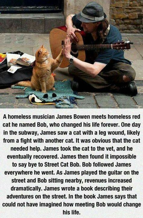 There's a movie about these two and it's called A Street Cat Named Bob. A Cat Named Bob, A Street Cat Named Bob, Street Cat Bob, Street Cat, Say Bye, Red Cat, Cat Crafts, Cat Quotes, Cat Names