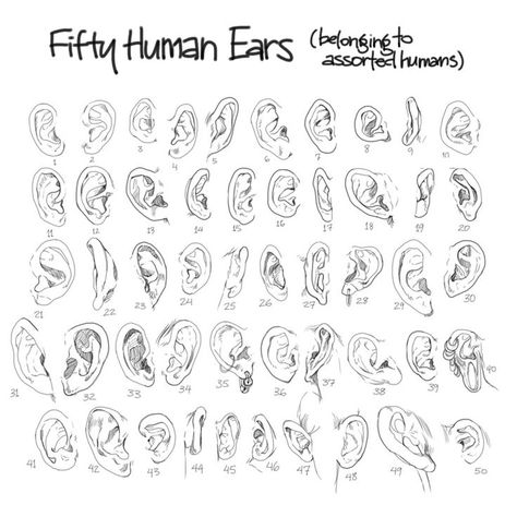 1000+ images about Character Anatomy | Ears on Pinterest ... Cartoon Ears Drawing, How To Draw Ears, Human Ear, 얼굴 그리기, Human Figure Drawing, Human Drawing, Anatomy Drawing, Anatomy Reference, Drawing Lessons