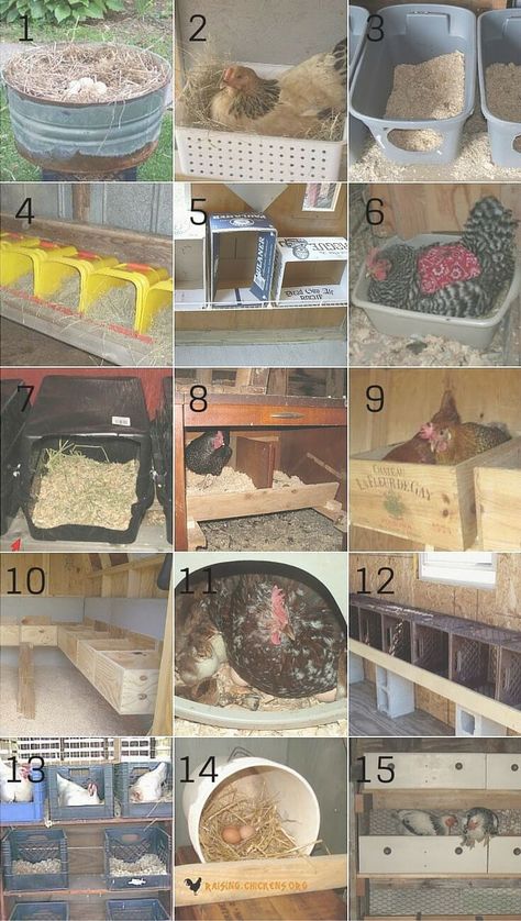 Nest Boxes, Portable Chicken Coop, Egg Laying Chickens, Chicken Pen, Chicken Nesting Boxes, Backyard Chicken Farming, Nest Box, Raising Backyard Chickens, Chicken Coop Designs