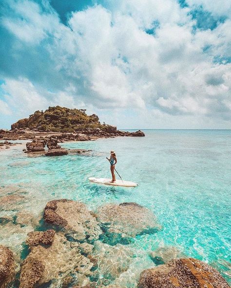 Paddleboarding on a glassed out day at @lizardisland, the northern-most resort on the @gbrmarinepark in @queensland 🏝💙 Between snorkelling… Overnight Waves, Barrier Reef Australia, Travel Store, Hamilton Island, Aesthetic Picture, Secluded Beach, Burton Snowboards, X Games, Kitesurfing