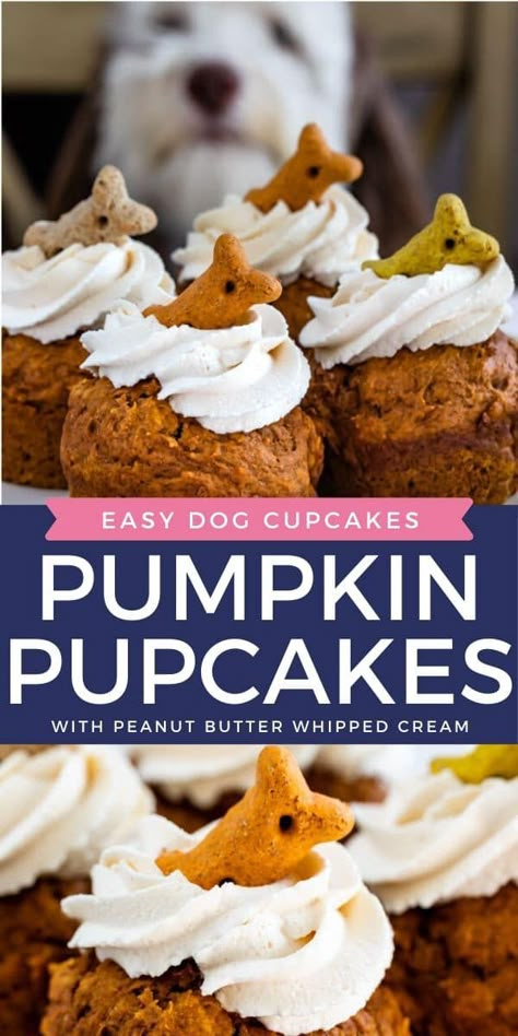 Carrot Dog Cake, Pupcakes Dog, Cupcakes For Dogs Recipe, Pupcake Recipe, Dog Cake Recipes, Carrot Dogs, Pet Treats Recipes, Easy Dog Treat Recipes, Dog Cupcakes