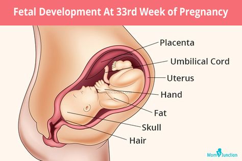 33rd Week Pregnancy: Symptoms, Baby Development And Bodily Changes 33 Week Pregnancy, Ultrasound Gender, Pregnancy Development, First Week Of Pregnancy, Baby Development Milestones, Round Ligament Pain, 33 Weeks Pregnant, Weeks Of Pregnancy, Preterm Labor