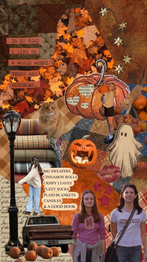 fall wallpaper : gilmore girls. pumpkin. orange cat. leaves. Fall Wallpaper Gilmore, Gilmore Girls Pumpkin, Gilmore Girls Wallpaper, Plaid Blankets, Girls Wallpaper, Aesthetic Light, Big Sweaters, Vision Board Inspiration, Halloween Wallpaper Iphone