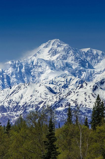 Mt Mckinley Alaska. Headed here in July 2014. Maybe I'll get to see the mountain this time around! Mt Mckinley Alaska, Mt Denali, Mount Denali, Talkeetna Alaska, Mount Mckinley, Alaska Photography, Visit Alaska, Alaskan Cruise, Denali National Park