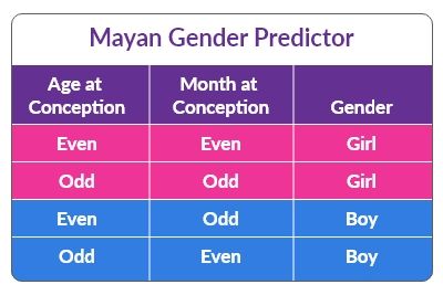 Mayan Calendar Gender Prediction | SneakPeek® Mayan Calendar Gender, Baby Gender Prediction Chart, Baby Gender Ultrasound, Ultrasound Gender Prediction, Cool Gender Reveal, Cool Gender Reveal Ideas, Early Gender Prediction, Ramzi Theory, Gender Prediction Chart