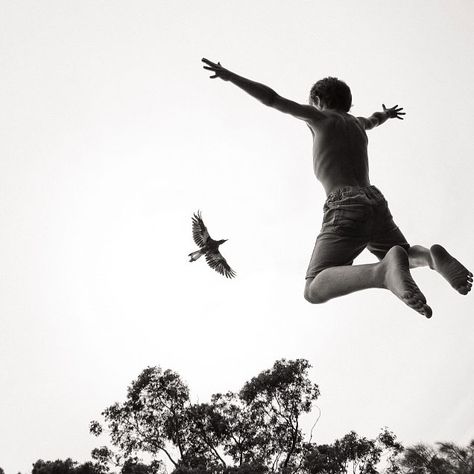 Boy And Bird, Touching Photos, Australian Photographers, Animal Companions, Bw Photo, Magpie, Photo Reference, Photography Inspo, Penguins