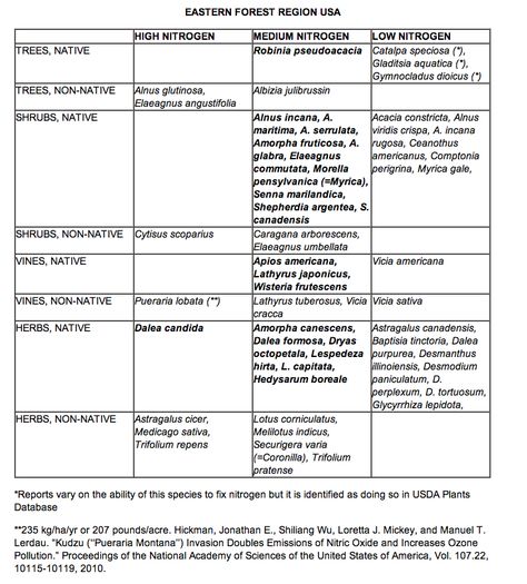 Screen Shot 2012-07-22 at 9.19.27 PM Nitrogen Fixers, Edible Forest, Nitrogen Fixing Plants, Useful Plants, Forest Gardens, Perennial Vegetables, Permaculture Design, Forest Garden, Yard Design