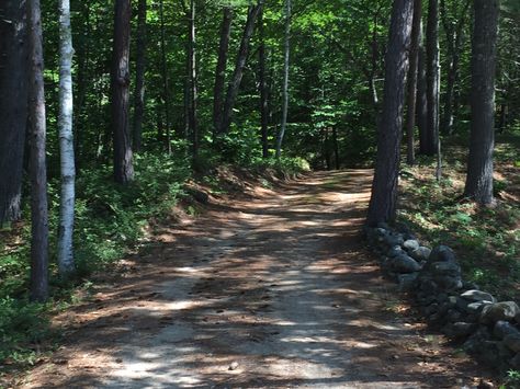 Arriving. I begin to relax the minute we get to the very long driveway. One third of a mile winding through the woods. Hiking Indiana, Long Driveway, Homestead House, Driveway Design, Cabin Exterior, Horse Trail, Long Driveways, Indiana State, Forest Path