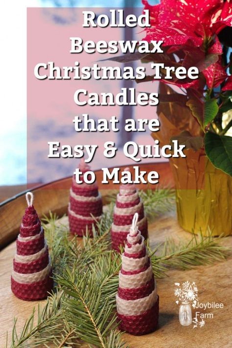 Rolled beeswax Christmas tree candles are a fun and economical way to bring some cheer to your table or tree decorations. They are easy to make even for children, with a little help.  Use them for gift toppers, tree decorations, and table decor.  #beeswaxcandles, #rolledcandles, #beeswax Rolled Beeswax Candles Diy, Beeswax Recipes, Havdalah Candle, Rolled Beeswax Candles, Rolled Candles, Beeswax Candles Diy, Tree Candles, Diy Gifts To Make, Winter Holiday Decorations