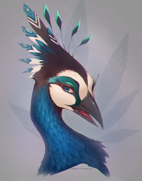 Koko on X: "People seem to absolutely adore Iara she’s a fan favorite lately I only have three pieces of her but all of them are amazing the creator @saphgriffin and the two portrait artists @Momobeda & @julia_tdc 💖🦚 https://t.co/oDBy7M7F7Z" / X Peacock Concept Art, Peacock Fursona, Peacock Aarakocra, Peacock Oc, Humblewood Art, Humblewood Character, Albino Peacock, Hazbin Oc, Peacock Wings