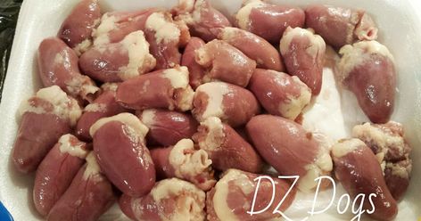 Chicken Hearts For Dogs, Dehydrator Dog Treats, Gizzards Recipe, Chicken Hearts, Hiking With Dogs, Dog Food Recipe, Dehydrated Chicken, Recipe With Chicken, Make Dog Food