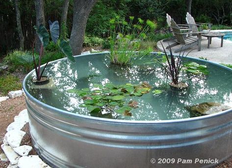 Diy Container Pond, Koi Pond Ideas, Container Pond, Koi Pond Design, Container Water Gardens, Diy Water Feature, Goldfish Pond, Relaxing Backyard, Diy Pond