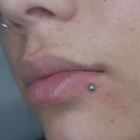 ✖️ Labret lateral ✖️ . . . . . 📌 Agende seu horário pelo link da bio! . . #labretlateral #piercings #labretpiercing #piercer #piercing Lip Piercing Labret Side, Labret Piercing Ring Side, Side Labret Piercing, Inverse Labret Piercing, Lip Piercing Ring Labret, Labret Lateral, Piercing Labret Lateral, Piercing Labret, Labret Piercing