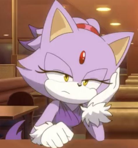 Blaze The Cat Icon, Arcee Transformers, Blaze The Cat, Shadow Sonic, Rouge The Bat, Silver The Hedgehog, Sonic Funny, Sonic Fan Characters, Blue Hedgehog