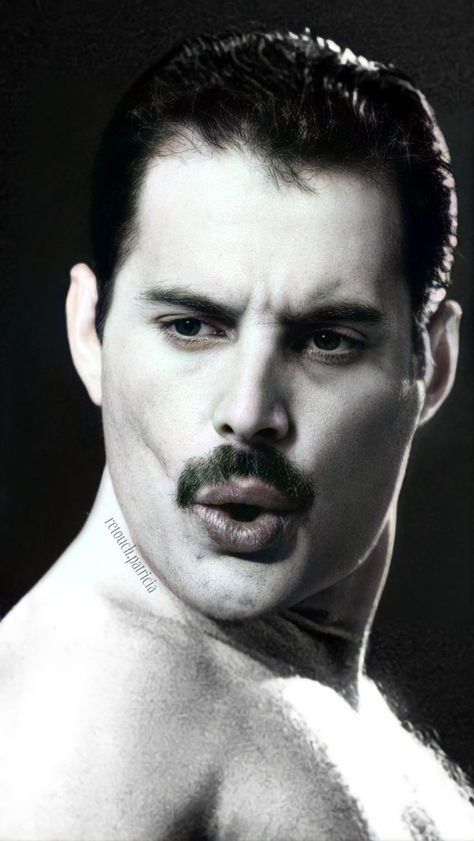 Freddie Mercury Portrait, Fred Mercury, Freddie My Love, Mr Fahrenheit, Famous Portraits, Paddy Kelly, Freddy Mercury, Queen Freddie Mercury, Queen Band