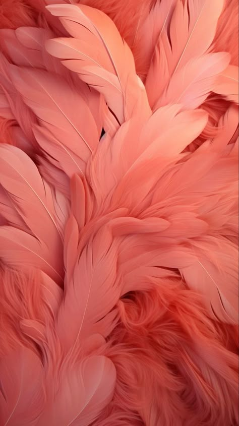 Coral Aesthetic, New Nature Wallpaper, Iphone Wallpaper Photography, Feather Wallpaper, Peach Aesthetic, Wallpaper Photography, Iphone Lockscreen Wallpaper, Peach Fuzz, Art Wallpaper Iphone