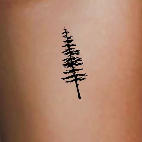 Tiny Tree Tattoos For Women, Cute Tree Tattoo, Minimalist Tattoo Tree, Fine Line Pine Tree Tattoo, Simple Pine Tree Tattoo, Tree Ring Tattoo, Tiny Tree Tattoo, Evergreen Tattoo, Simple Tree Tattoo