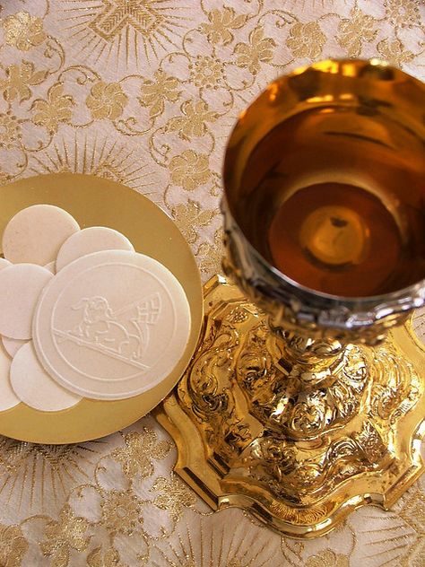 Eucharistic Adoration, Blood Of Christ, Christ The Redeemer, Catholic Priest, Roman Catholic Church, Eucharist, First Holy Communion, Holy Communion, Lord Jesus Christ