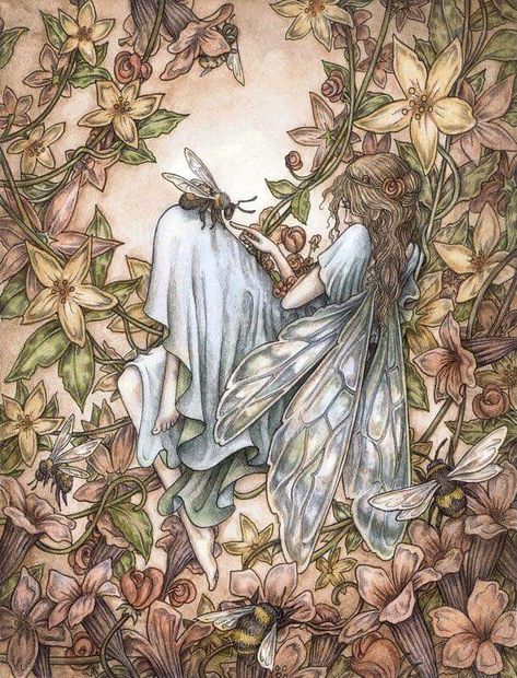 Adam Oehlers, Fairy Folk, Fairy Illustration, Bee Keeper, The Fae, Fairytale Illustration, Insect Art, Magical Art, Fairies Elves