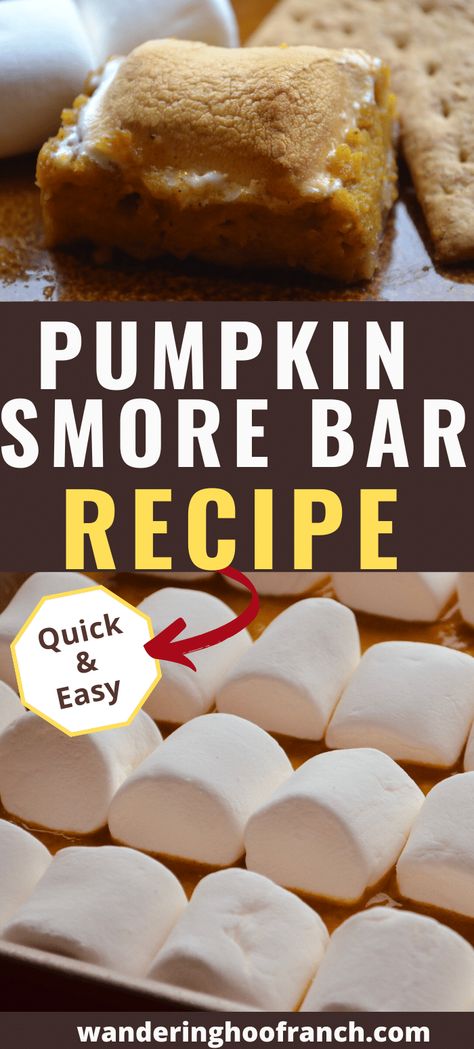 Pumpkin Smores, Smores Bar Recipe, Gram Cracker, Fresh Pumpkin Recipes, Cracker Chocolate, Smores Bars, Pumpkin Pie Bars Recipe, Caramel Apple Cheesecake Bars, Pumpkin Puree Recipes