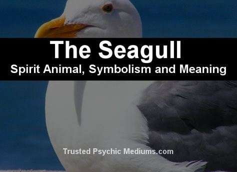 The Seagull Spirit Animal - A Complete Guide. Seagull Spirit Animal, Seagull Spiritual Meaning, Homemade Garden Decorations, Totem Animals, Fly Quotes, Animal Meanings, Seagulls Flying, Spirit Signs, Free Daily Horoscopes