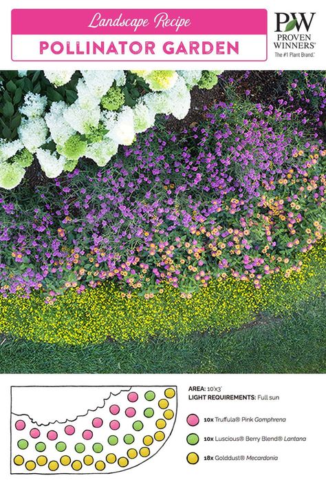 Raised Bed Pollinator Garden, Fence Garden Bed, Hummingbird Garden Plan, Pollinator Garden Plans, Garden Diagram, Herbs Garden Ideas, Trellis Ideas Garden, Pink Gomphrena, Garden Trellis Designs