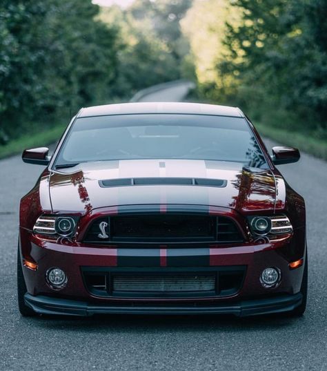 Mustang S197, Mustang Shelby Cobra, Roush Mustang, 1973 Mustang, Gt 500, Sports Car Wallpaper, Ford Mustang Car, Ford Mustang Shelby Gt500, Dream Cars Jeep