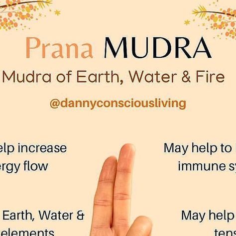 Danny Conscious Living on Instagram: "✨Follow @dannyconsciousliving⁣⁣ if this resonated for you ❤️🙏🏼✨⁣⁣⁣⁣⁣⁣ ⁣⁣⁣ Prana Mudra can help with many things and the benefits listed above are just a few potentials that are said to be had when practicing this Mudra. Mudras can be performed anywhere at anytime but there are certain times and ways it can be done where it’s easier to measure it’s benefits. Particularly with meditation as this Mudra can work better if the mind is already in a calmer state. Prana Mudra Benefits, Prana Mudra, Hand Mudras, Conscious Living, Holistic Health, The Mind, Consciousness, Meditation, Mindfulness