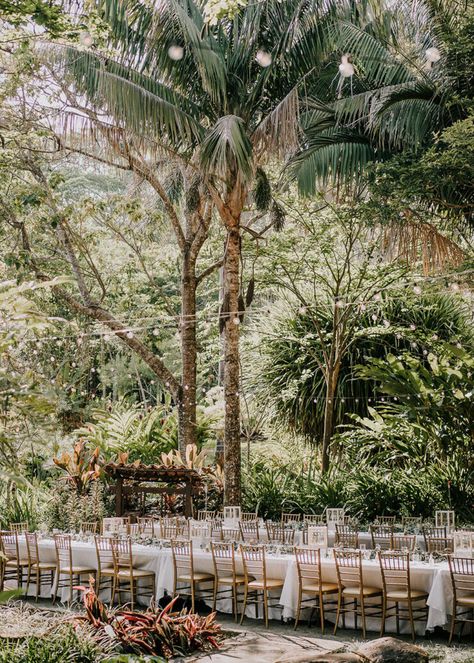 A Costa Rican Botanical Garden Wedding With A Surprise Concert From The Groom ⋆ Ruffled Jungle Wedding Aesthetic, Wedding In Costa Rica, Jungle Beach Wedding, Tropical Destination Wedding Decor, Costa Rica Wedding Dress, Tropical Wedding Dress, Costa Rican Wedding, Tropical Garden Wedding, Costa Rica Beach Wedding