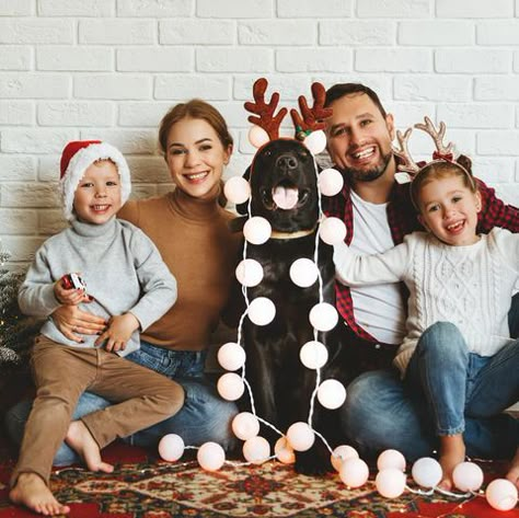 Diy Christmas Photo, Dog Christmas Pictures, Christmas Family Photoshoot, Family Christmas Card Photos, Family Holiday Cards, Christmas Card Pictures, Dog Christmas Card, Family Christmas Pictures, Christmas Shoot