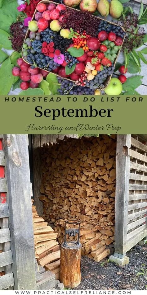 September Homestead To-Do List: Homestead Survival - What kind of homesteading chores are we up to in the fall? Our September homestead to-do list is all about preserving food from the garden and prepping for winter. There are so many fall homesteading projects that need doing. From chopping and stacking cords of wood, water bath and pressure canning meals in jars, herbal remedies recipes, long-term food storage tasks, making sure our homestead animals have what they need, and so much more. Fall Homesteading Projects, Homestead Survival Life Hacks, Homestead Food Storage, Colorado Homestead, Homestead Diy, Homestead Cooking, Homesteading For Beginners Small Spaces, Homesteading For Beginners, Homesteading Diy Projects