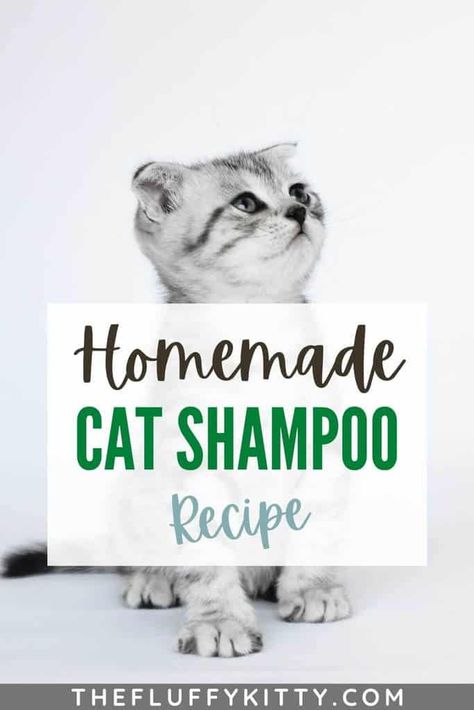 Diy Cat Shampoo, Flea Shampoo For Cats, Fluffy Kitty, Cat Wash, Flea Shampoo, Shampoo Recipe, Cat Shampoo, Homemade Shampoo, Pet Tips