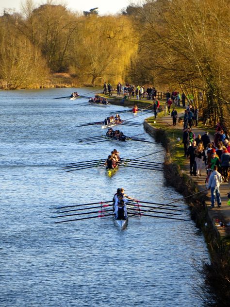 Oxford Rowing, Gothic Poetry, Oxford United Kingdom, Oxford Comma, Long Lunch, Oxford City, Oxford United, Curiouser And Curiouser, Oxford England