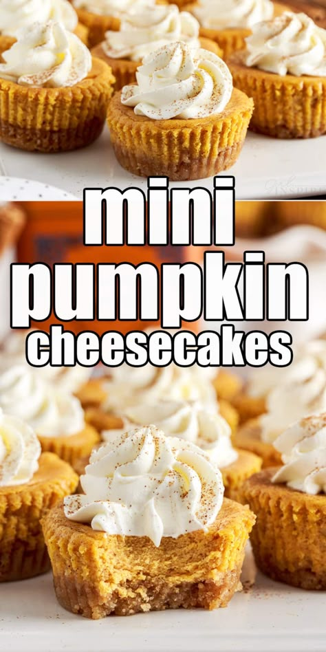 Pumpkin Cheesecake Bites Easy, Pumpkin Cheesecakes Mini, Pumpkin Spice Mini Cheesecakes, Mini Cheesecakes Pumpkin, Mini Pumpkin Cheesecake Recipes Easy, Pumpkin Cheesecake Tarts Mini, Mini Pumpkin Desserts Easy, Pumpkin Pie Mini Cheesecakes, Mini Pumpkin Pie Cheesecake Recipe