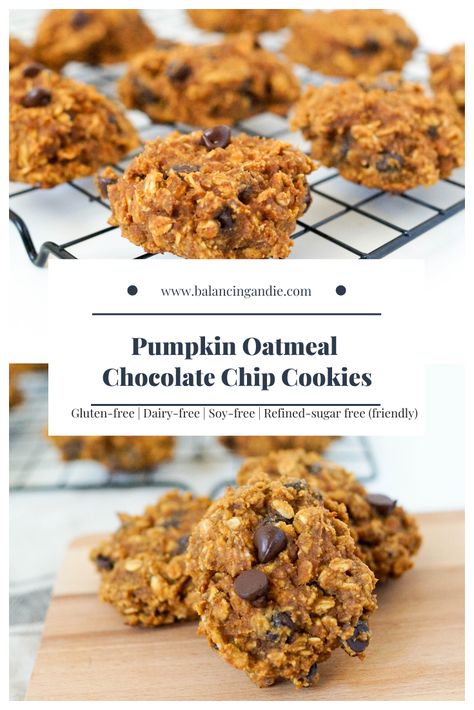 Pumpkin Oatmeal Chocolate Chip Cookies | Balancing Andie Pumpkin Oatmeal Chocolate Chip, Chocolate Chip Pumpkin Cookies, Pumpkin Oatmeal Chocolate Chip Cookies, Pumpkin Oatmeal Cookies, Pumpkin Cookie Recipe, Holiday Sweets, Oatmeal Chocolate Chip, Pumpkin Chocolate Chip, Pumpkin Chocolate Chip Cookies