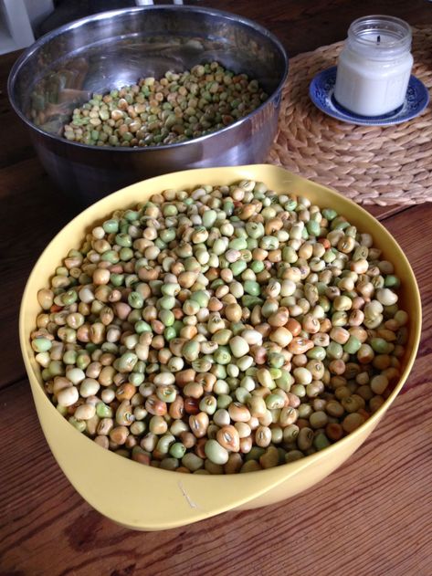 How To Freeze Peas, Crowder Peas Recipe, Crowder Peas, Garden Vegetable Recipes, Field Peas, Red Peas, Freezing Vegetables, Freezing Fruit, Freezing Food