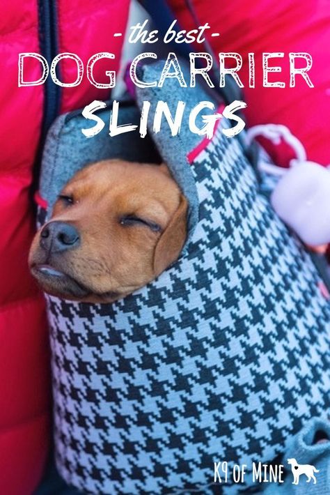 Best Dog Carrier Slings - carry your pup in your arms! #dogs #dogslings #dogtravel Diy Dog Bag Carrier, Puppy Carrier Sling, Pet Carrier Diy, Diy Dog Bag, Dog Traveling, Dog Carrying Bag, Puppy Pens, Dog Bags, Puppy Bag