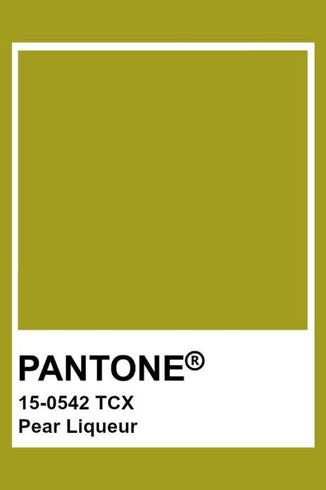 Pantone Olive Green, Pear Aesthetic, Olive Pantone, Pear Green Color, Pantone Shades, Green Pantone, Brown Pantone, Pantone Green, Pear Liqueur