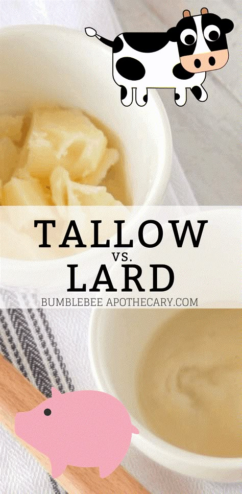 Tallow Benefits, Render Lard, Lard Recipe, Rendering Lard, Tallow Recipe, Kitchen Organizing Ideas, Kitchen Organization Tips, Shampoo Bar Recipe, Tallow Soap