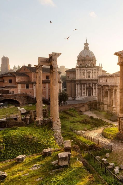 The Roman Forum (in Latin, Forum Romanum, although the Romans referred to it commonly as Forum Magnum or simply Forum) was the forum of the city of Rome, that is, the central zone - similar to the central squares in modern cities - where the government, market and religious institutions are located. As today, it was where commerce, business, prostitution, religion, and the administration of justice took place. It stood the communal home. Rome Market, Ancient Rome Architecture, Ancient Rome Aesthetic, Roman Aesthetic, Study Abroad Europe, Rome Italy Photography, Rome Architecture, Rome Aesthetic, Rome Photography