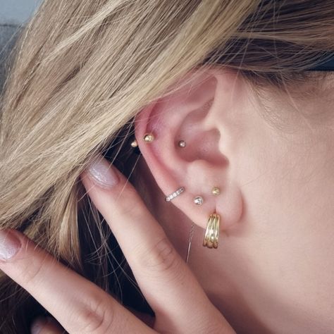 Conch Forward Helix Piercing, Constilation Piercing Lobe, Piercing Combinations, Constellation Piercing, Jewelry Combinations, Auricle Piercing, Constellation Piercings, Forward Helix Piercing, Forward Helix