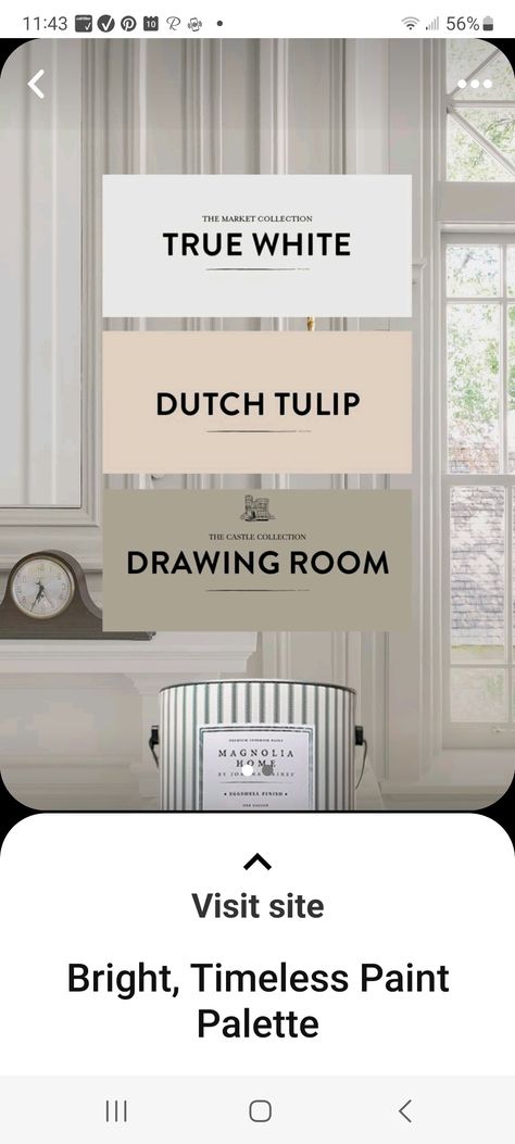 Dutch Tulip Magnolia Paint, Tulip Magnolia, Magnolia Paint, Dutch Tulip, Tulip Painting, Garage Apartment, Magnolia Homes, Paint Palette, Drawing Room