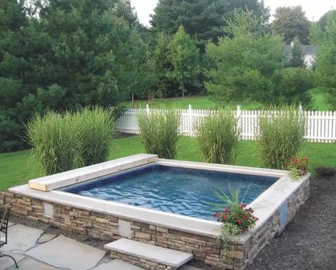 Plunge Pool Cost, Spool Pool, Small Swimming Pool, Pool Warmer, Oberirdischer Pool, Backyard Landscapes, Therapy Pools, Endless Pools, Bio Pool