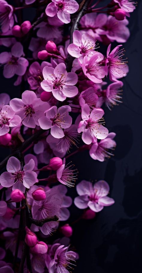 Creative Floral Arrangements, Surah Yaseen, Flower Tattoo Ideas, Purple Flowers Wallpaper, Beautiful Wallpapers For Iphone, Background Flower, Flowery Wallpaper, Floral Wallpaper Phone, Lovely Flowers Wallpaper