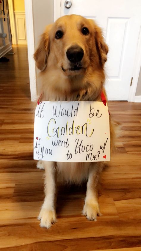 Homecoming proposal Proposal Ideas With Dogs, Proposal Ideas At Home, Dog Proposal, Formal Proposals, Homecoming Floats, Elevated Bed, Christmas Dance, Hoco Proposals, Hoco Proposals Ideas