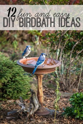 Diy Birdbath Ideas, Birdbath Ideas, Diy Birdbath, Backyard Birds Sanctuary, Diy Bird Bath, Bird Bath Fountain, Upcycle Garden, Bird Bath Garden, Texas Gardening