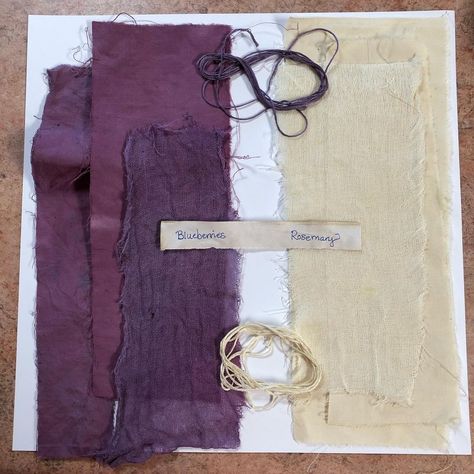 Nickalli Braaten on Instagram: “Had some fun botanical dyeing. The Rosemary just tinted everything from white to cream, but the blueberries were amazing! I did a piece of…” Botanical Dyeing, Summer Projects, Art Programs, Cheese Cloth, Have Some Fun, Embroidery Floss, Blueberries, Natural Dyes, Textile Art