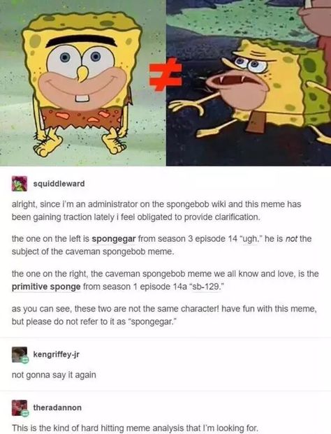 Memes Pt, The Spongebob, Spongebob Square, Best Of Tumblr, Clean Memes, Deep Thinking, Square Pants, Crazy Quotes, Spongebob Memes